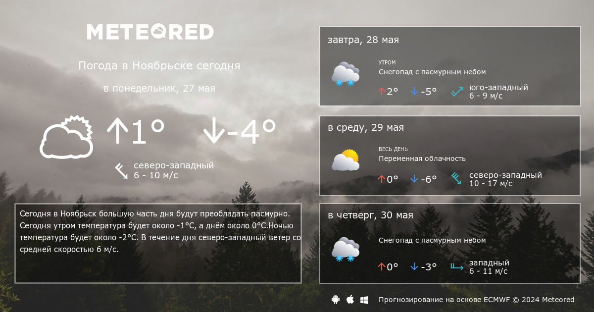 Погода по часам белогорске
